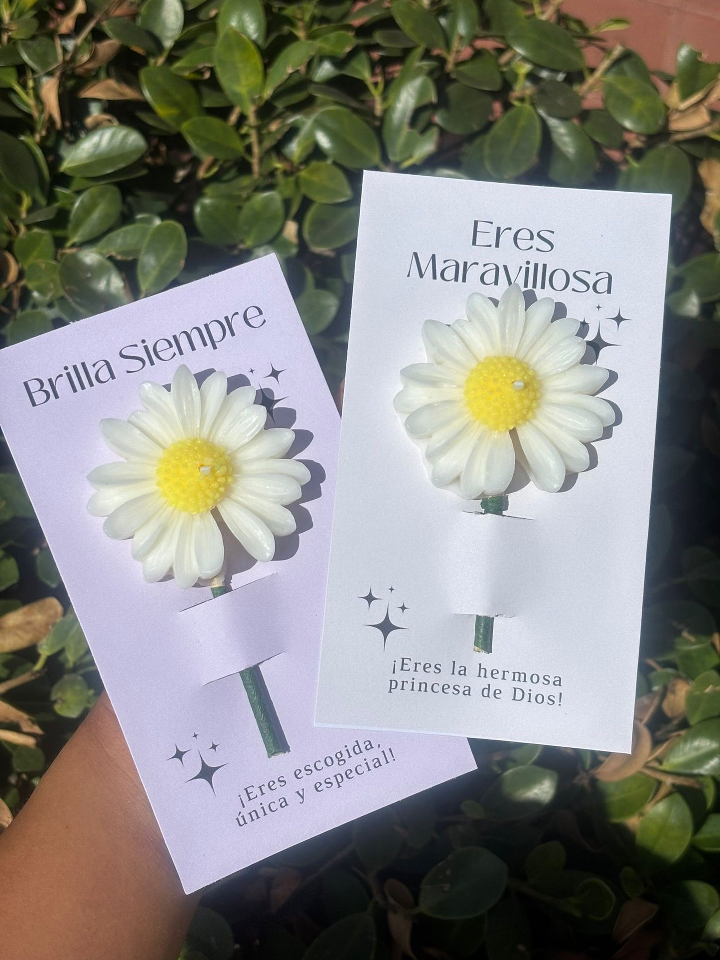 Tarjeta floral margarita